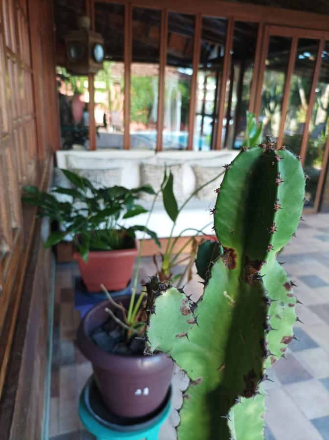 Casa De Ioio Arraial Bed and Breakfast Πόρτο Σεγκούρο Εξωτερικό φωτογραφία